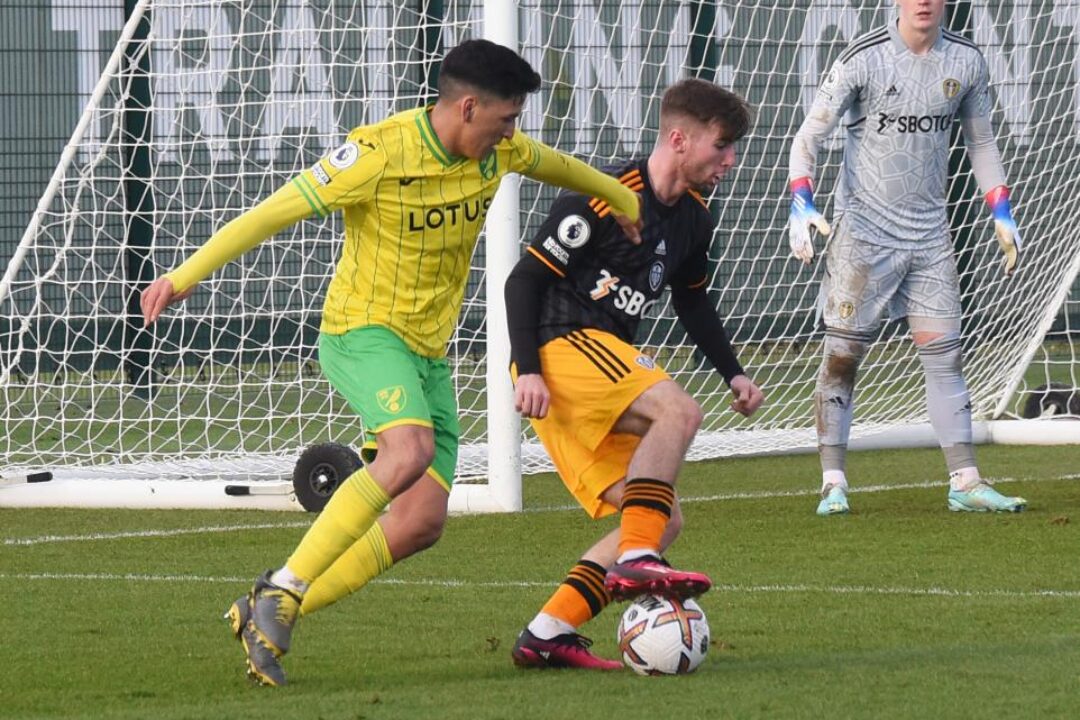 Nunez and his Norwich City challenge