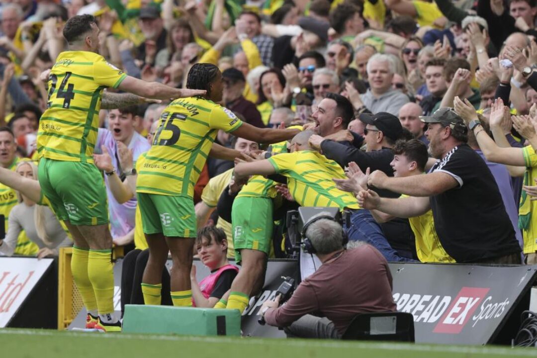 Norwich City 1-0 Ipswich: Paddy Davitt derby pointers